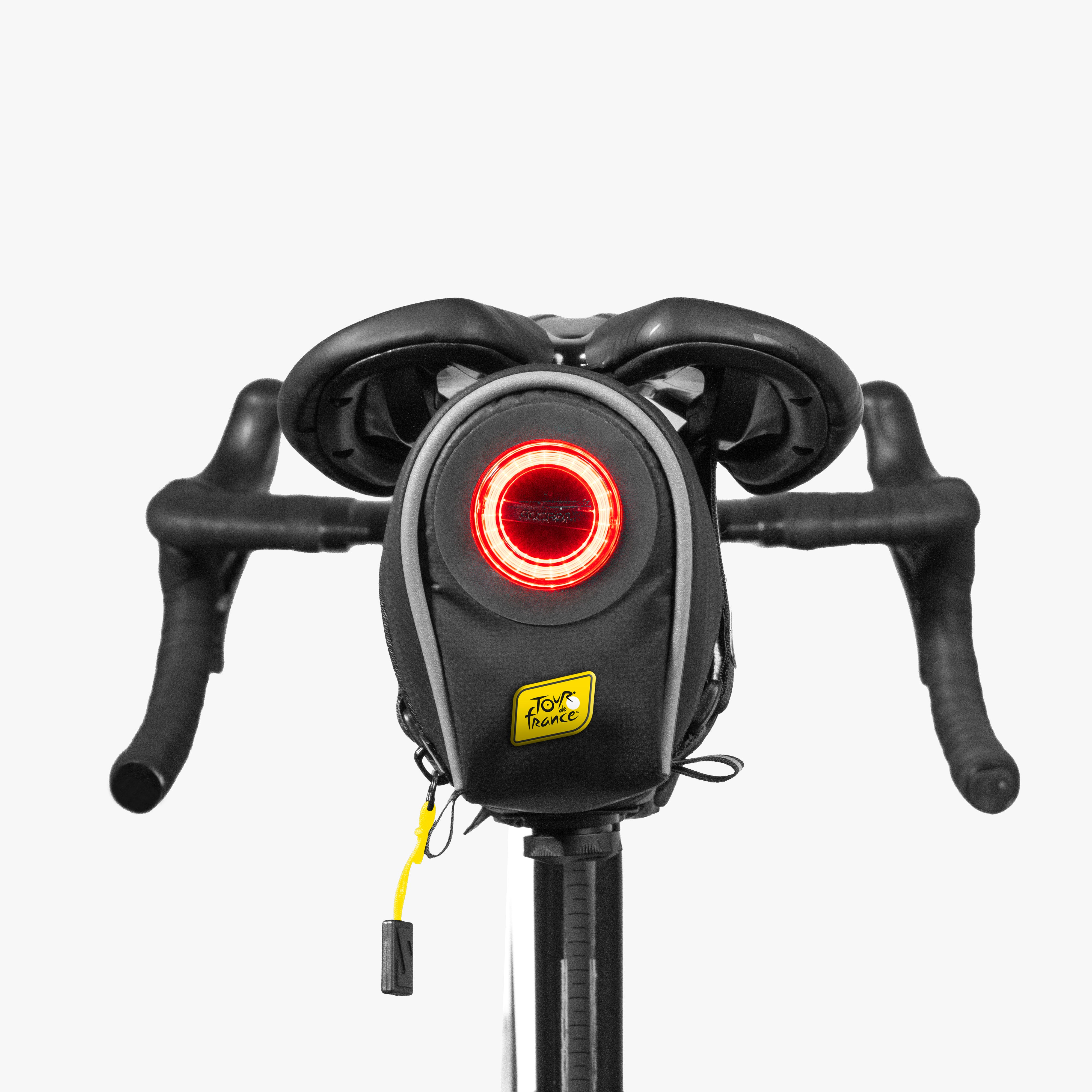 Saddlebag 098 with Taillight TDF back