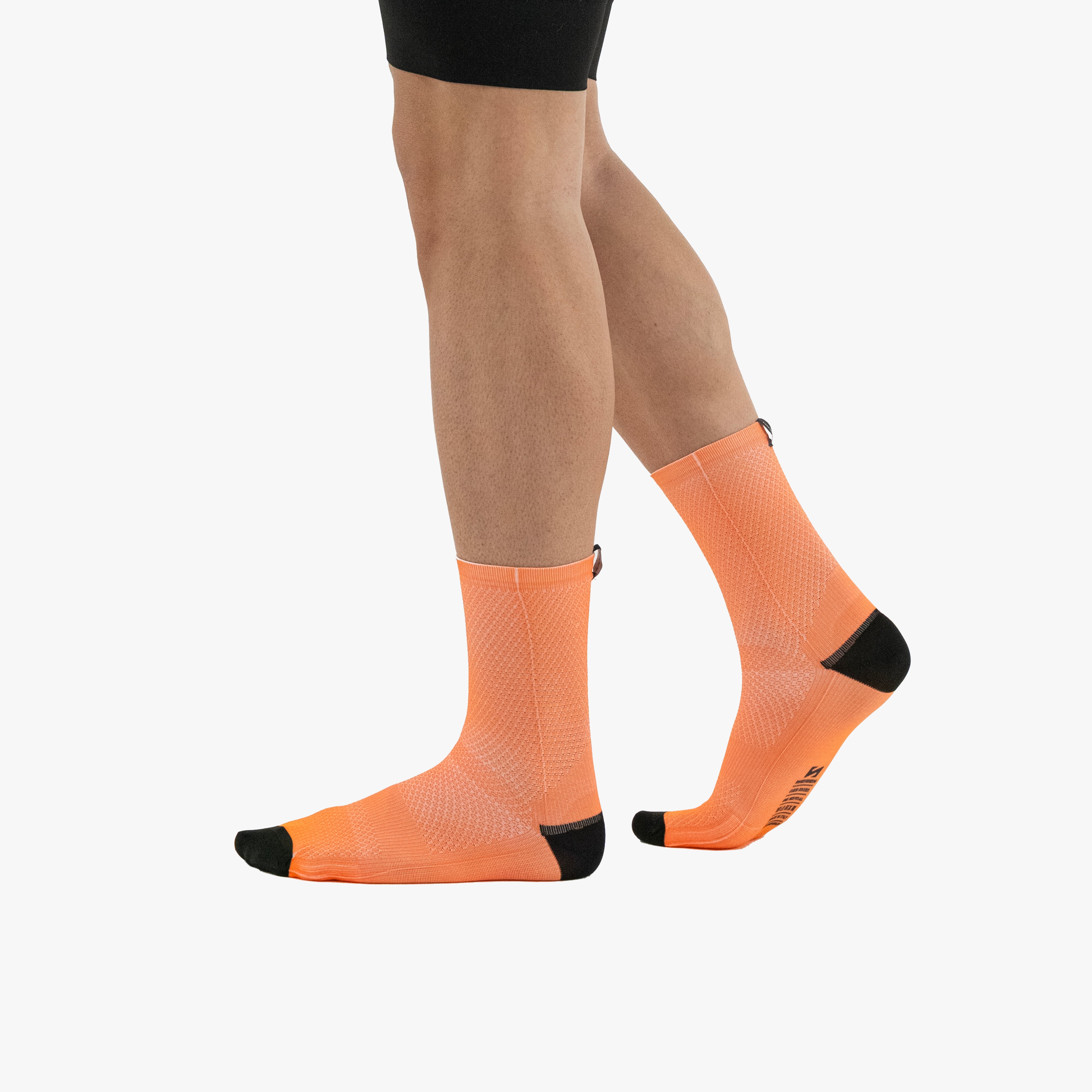 SCICON PERFORMANCE SOCKS 211