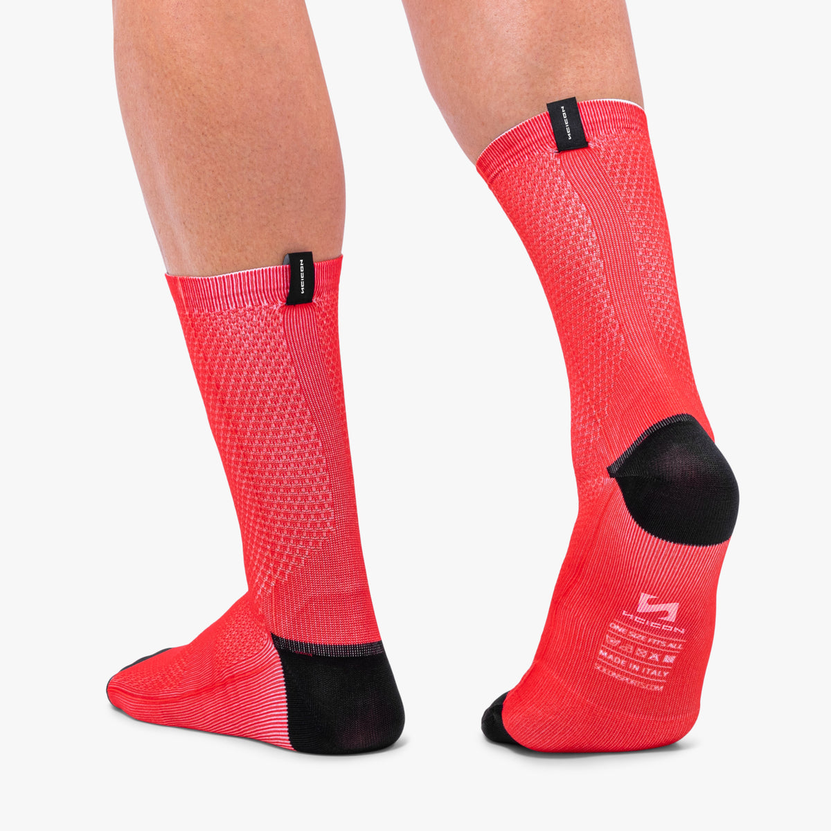 SOCKS213